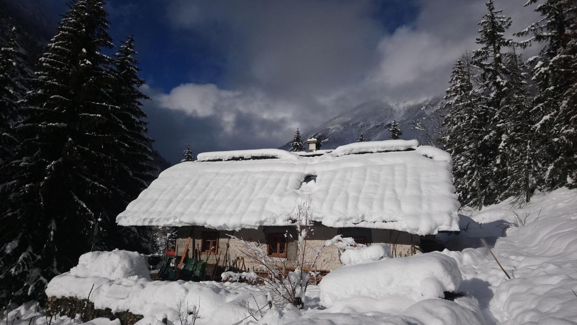 Wild Flower Cottage In Trenta Exterior photo